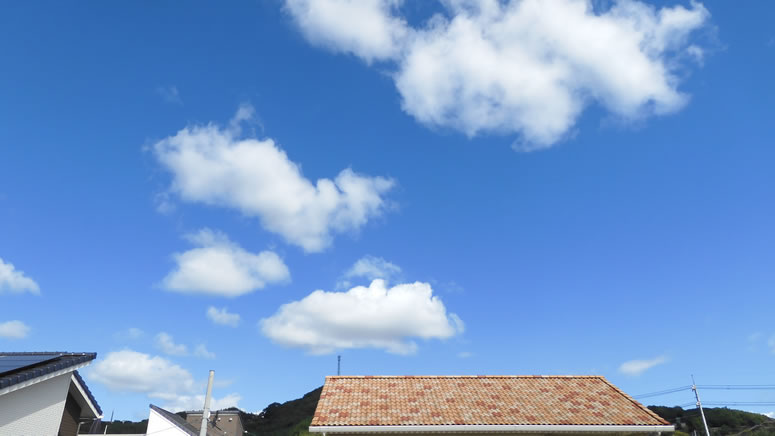 2025N1013ijX|[c̓Aq~̂uƉ_v̊gʐ^ł