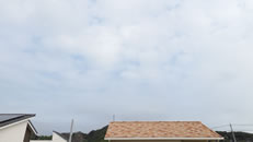 2025N1014i΁jq~̂́uƉ_v̎ʐ^ł