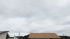 2025N1015ijq~̂́uƉ_v̎ʐ^ł""