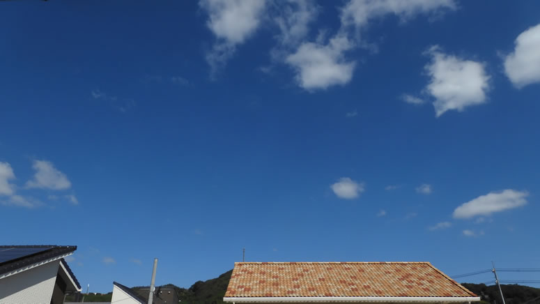 2025N1017ijq~̂uƉ_v̊gʐ^ł