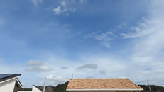 2025N1018iyjq~̂́uƉ_v̎ʐ^ł