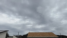 2025N1019ijq~̂́uƉ_v̎ʐ^ł