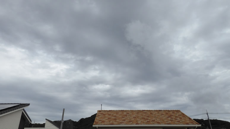 2025N1019ijq~̂́uƉ_v̎ʐ^ł