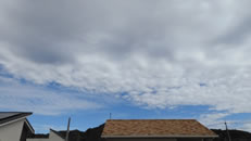 2025N1020ijq~̂́uƉ_v̎ʐ^ł