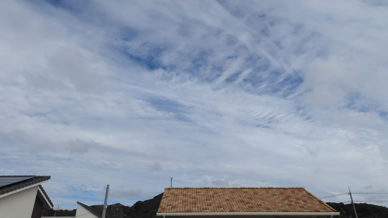 2025N1021i΁jq~̂uƉ_v̊gʐ^ł