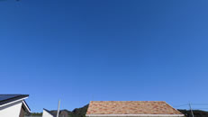 2025N1023i؁jq~̂́uƉ_v̎ʐ^ł