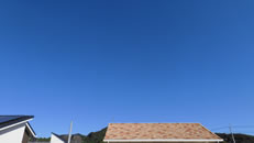 2025N1024ijq~̂́uƉ_v̎ʐ^ł