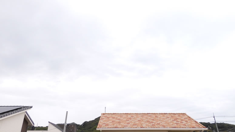 2025N1025iyjq~̂uƉ_v̊gʐ^ł