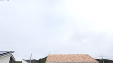 2025N1026ijq~̂́uƉ_v̎ʐ^ł