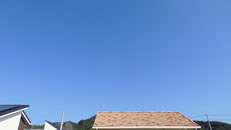 2025N1027ijq~̂́uƉ_v̎ʐ^ł