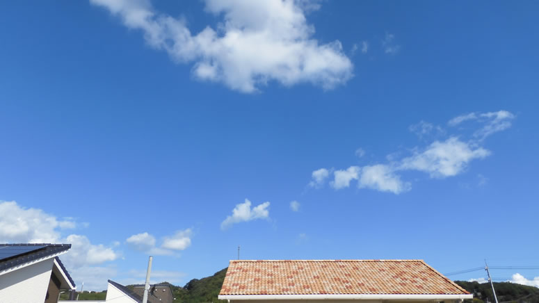 2025N1028i΁jq~̂uƉ_v̊gʐ^ł