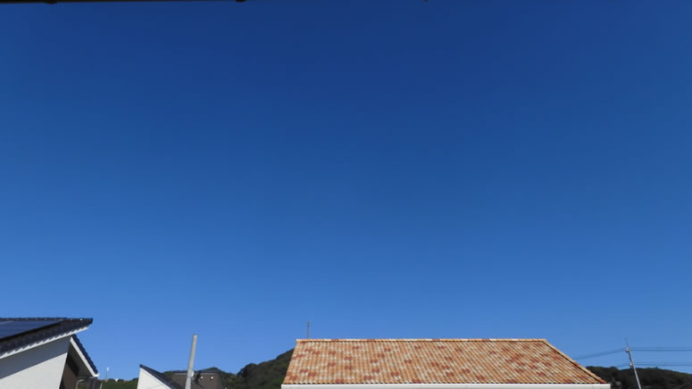 2025N1029ijq~̂uƉ_v̊gʐ^ł