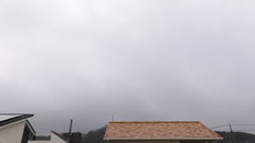 2025N1031ijq~̂́uƉ_v̎ʐ^ł