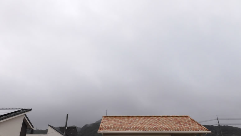 2025N1031ijq~̂uƉ_v̊gʐ^ł