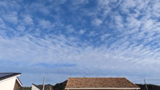 2025年11月11日(火)倉敷しのちゃんの「空と雲」の写真です