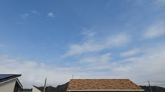 2025�N11��25���i�΁j�q�~���̂����́u��Ɖ_�v�̎ʐ^�ł�